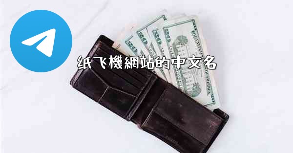 纸飞機網站的中文名