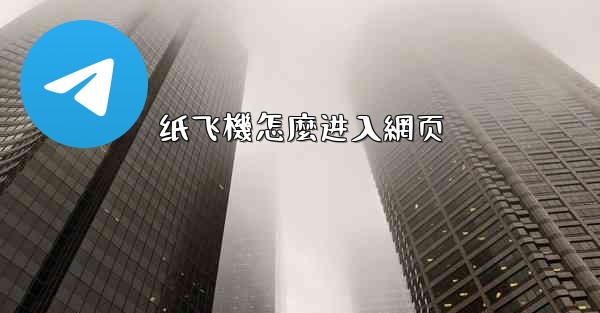 纸飞機怎麼进入網页