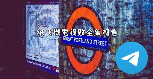 纸飞機電视剧全集观看